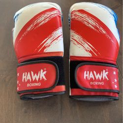 Boxing gloves