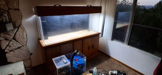 Salt water aquarium set up tank stand and hood led lights