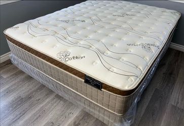 Queen Organic Cloud Edition Europillow Top 12inch Matres Andboxspring
