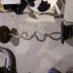  96 Pounds Of Standard Weights on an Easy Curl Bar with Star Locks