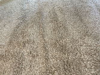Area Carpet Beige