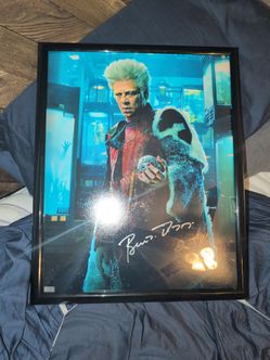 Benecio Del Toro Autograph 16x20 Photo Guardians of the Galaxy