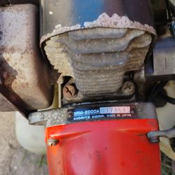 Guyra trabajando en buen estado