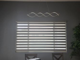 Zebra Shades