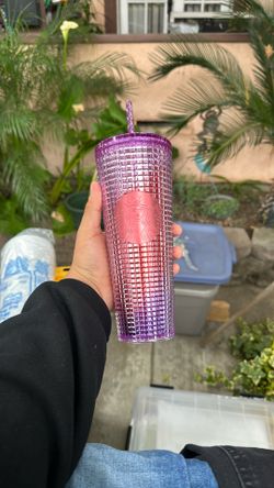 Starbucks Cups 