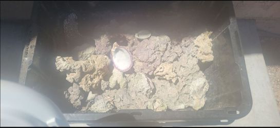 Salt water rocks