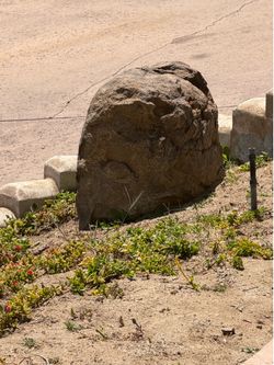 Free rocks