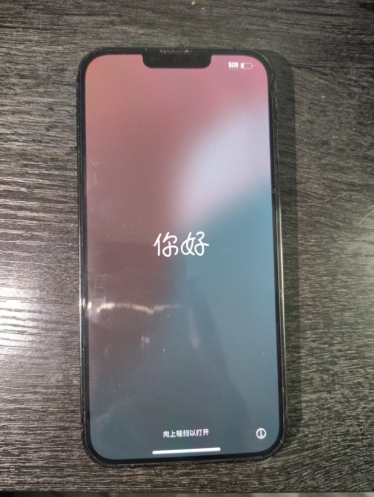 iPhone 13 Pro Max