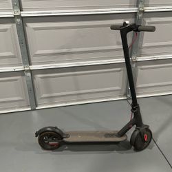 Bird Electric Shooter