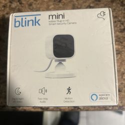 Mini Blink Camera 