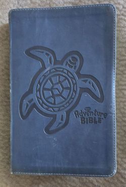 Adventure Bible for children