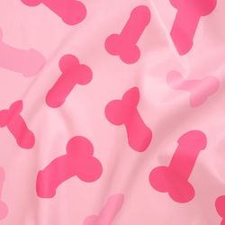Penis Bachelorette Party Decorations