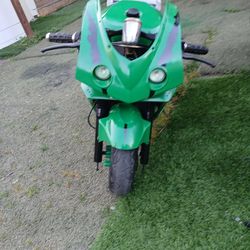 2008 pocket bike