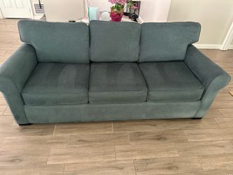 Two couches purchased from Living Spaces