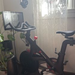 Peloton With Weights And Shoes 