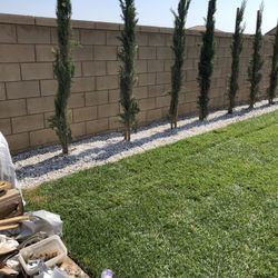 Sprinklers Systems And Grass Installation 