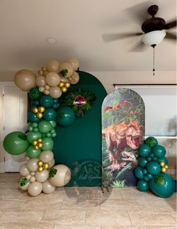Balloon Arch Backdrop