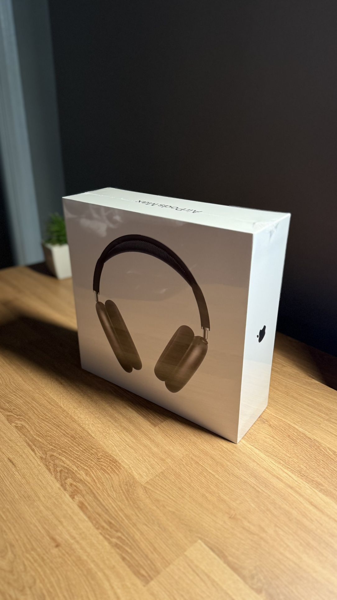 Apple AirPod Maxes