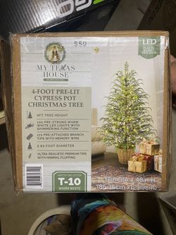 My Texas House Potted 4ft Twinkle LED Cypress