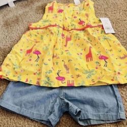 5t Shorts Set - Pickup From Northridge Area