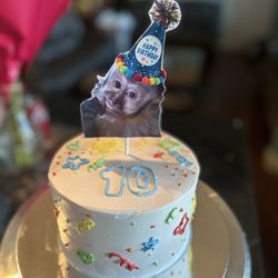 birthday cakes or any occasion