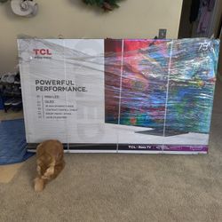 TCL 75 Inch Class 6 Series 4K Mini-LED UHD QLED -120hz  - Model 75R655  -New