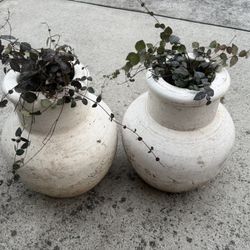 Olive Jar Shaped Flower Pots