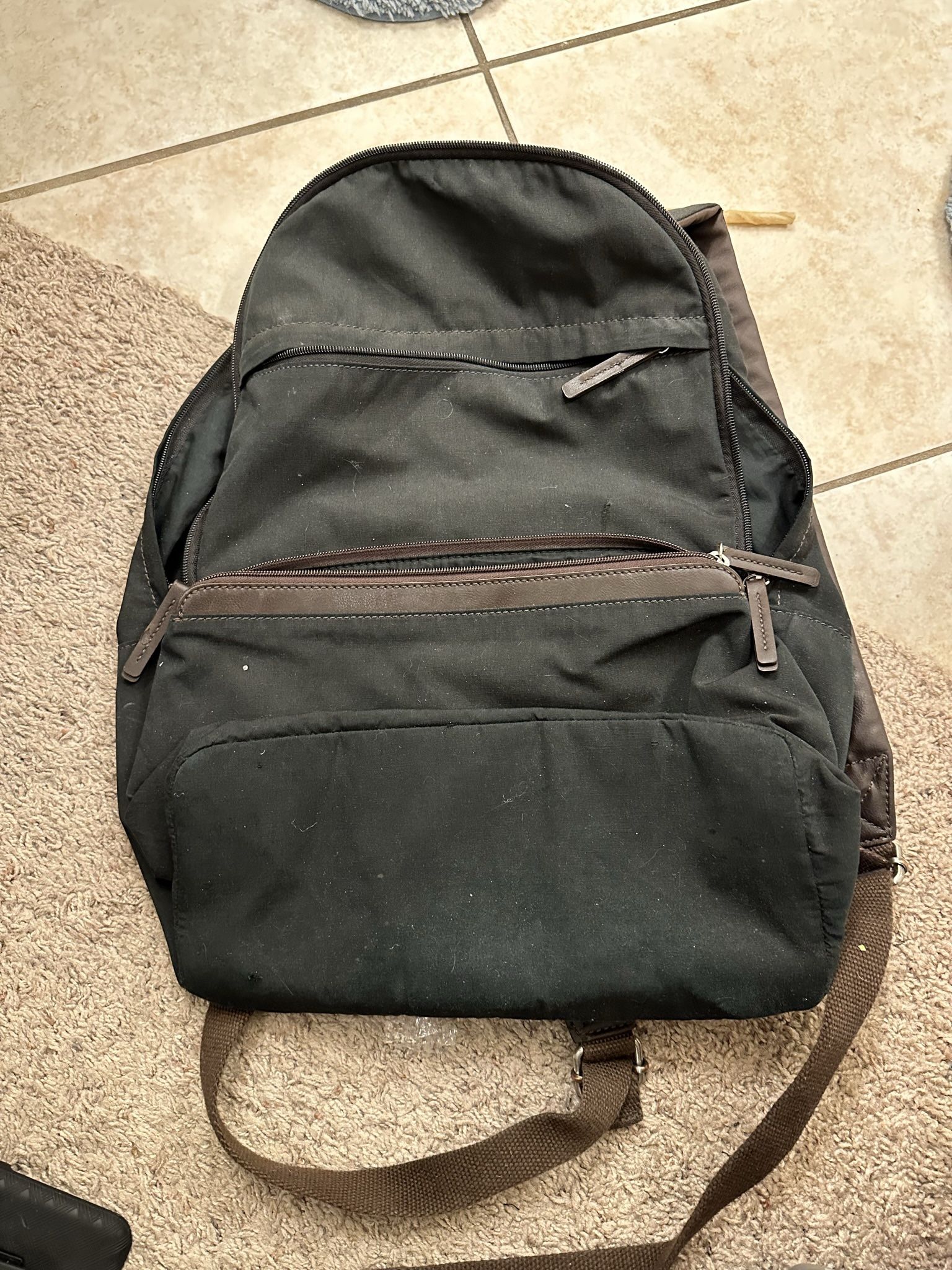 Fossil Backpack