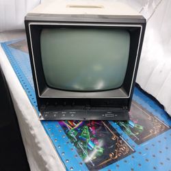 Sanyo Video Computer Monitor 