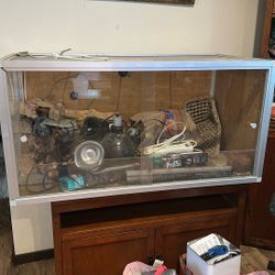 Bearded dragon, Zen, habitat