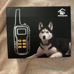 Dog Training Collar 