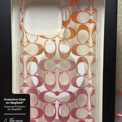 iPhone 16 Pro Max Case