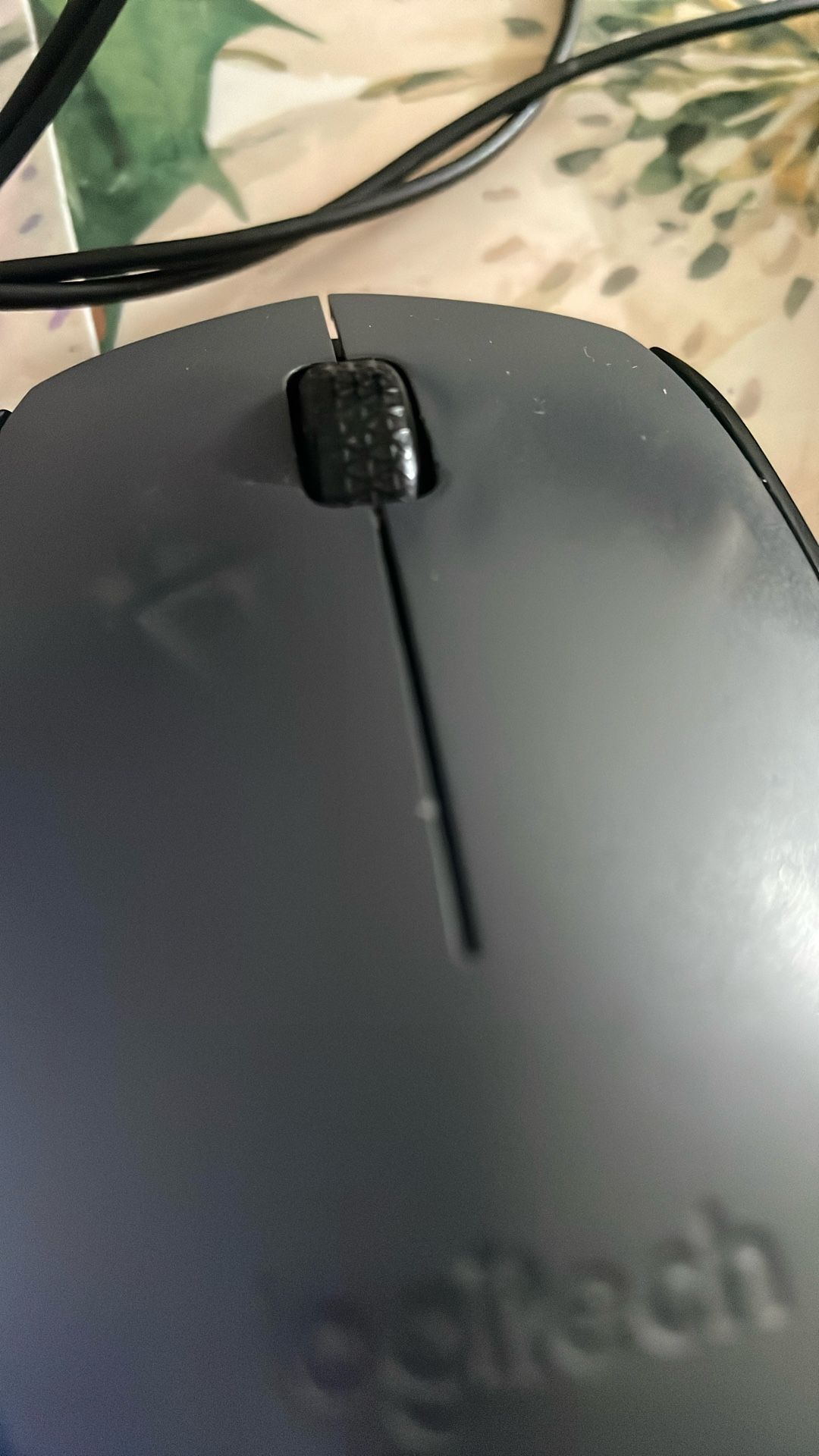 Mouse[t]