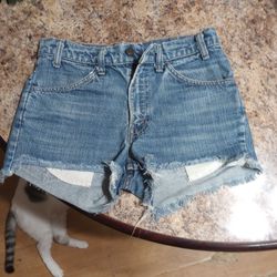 1980s Daisy Duke Shorts, Wore In The Late 1970. Size 6 To 8 Not Sure What Size. Perfect Condition  Have Been In My Dresser For 20 Years Now