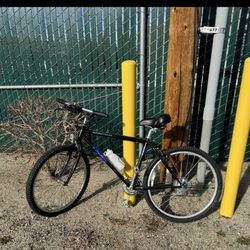 TREK 930 SingleTrack