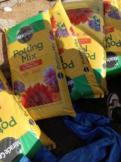 Miracle-Gro potting soil