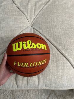 Wilson Evolution Basketball