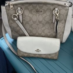 Coach Purse And Wallet