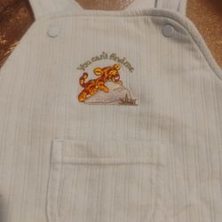 Tigger Baby Over All