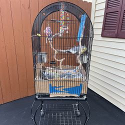 Cage For Cockatiels 