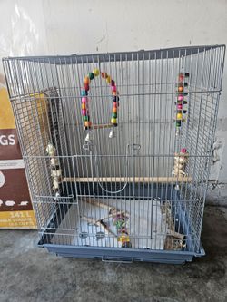Bird Cage with Toys & Pellets