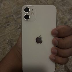 iPhone 11 With 6 Cases