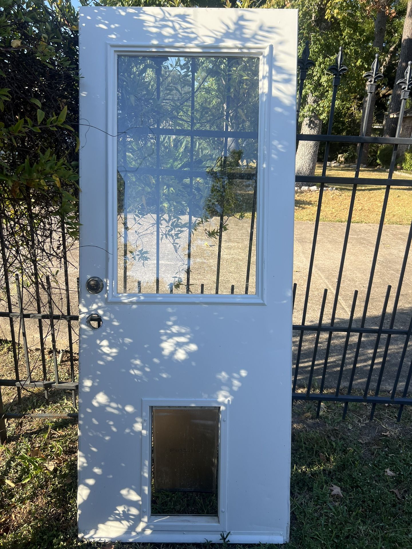 Exterior Door With Doggie Door