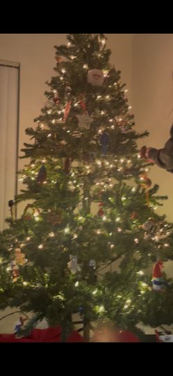 Prelit Christmas 🎄 Tree