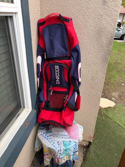 Baseball /softball bag