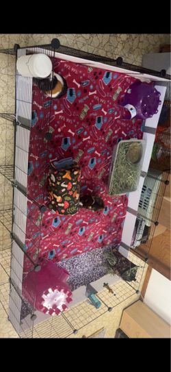 Guinea pig supplies / cage