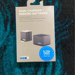 Dual Charger Enduro Batteries 