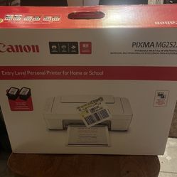 Cannon Pixma MG2522 Printer 