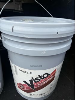White-P Vista Acribond Paint