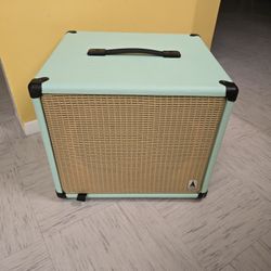 Earcandy 1x12 Ported bass cabinet